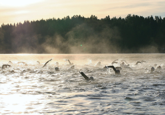 Open water swimming: what you should get began
