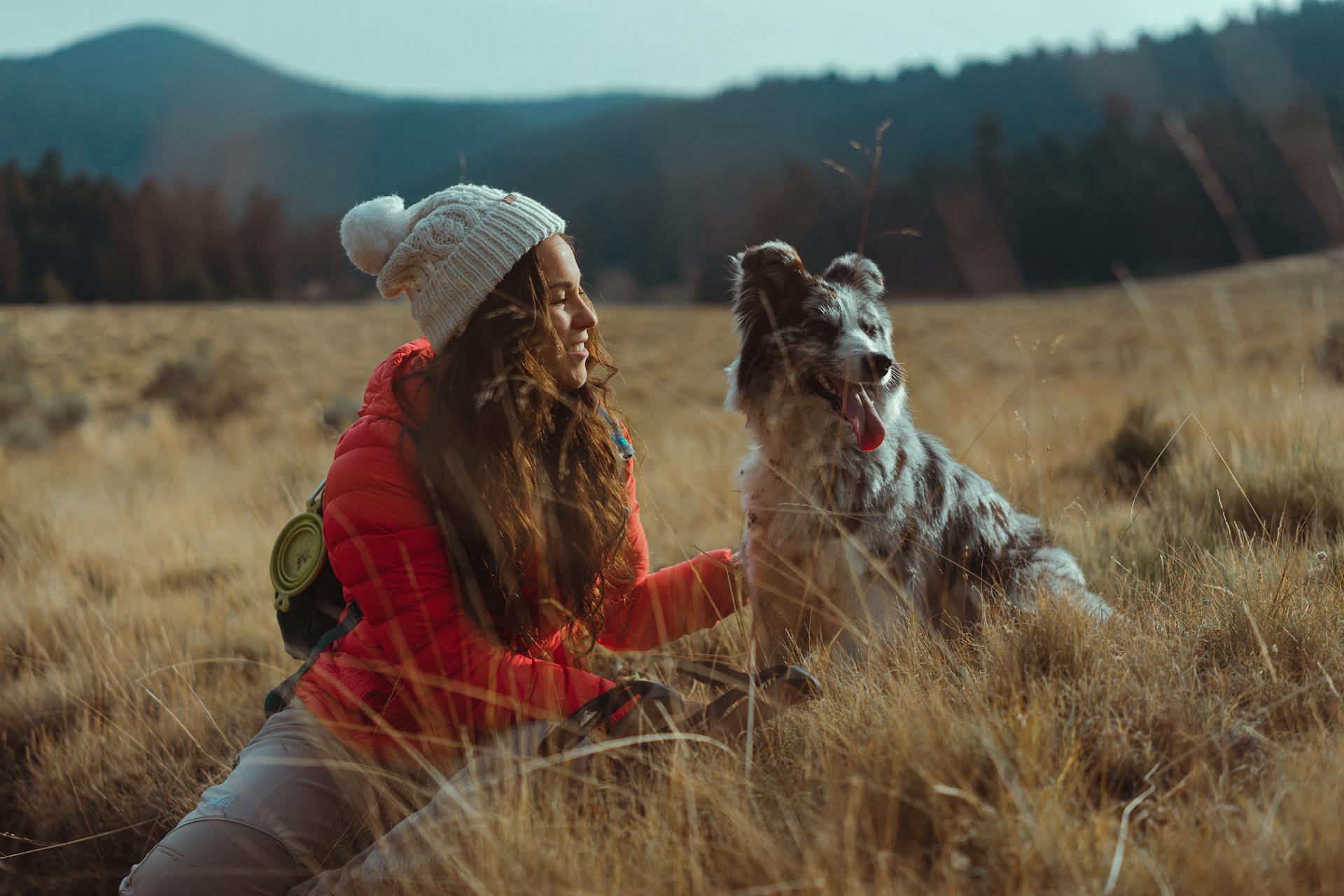 Violenza sulle donne, che cane scegliere per sentirsi più sicure?