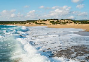 Vacanze nella natura nell'Italia del sud: 8 idee - 1 per regione