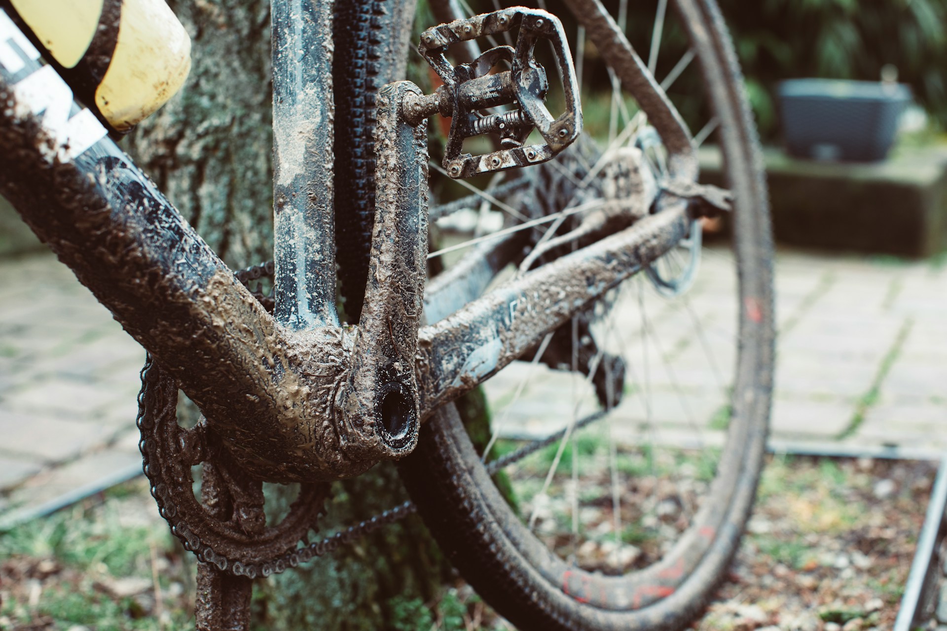 Perché le biciclette hanno la catena a destra?