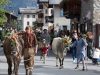 passeggiate-valtellina-transumanza