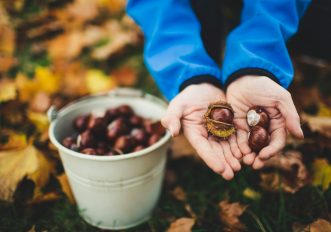 Come conservare le castagne raccolte