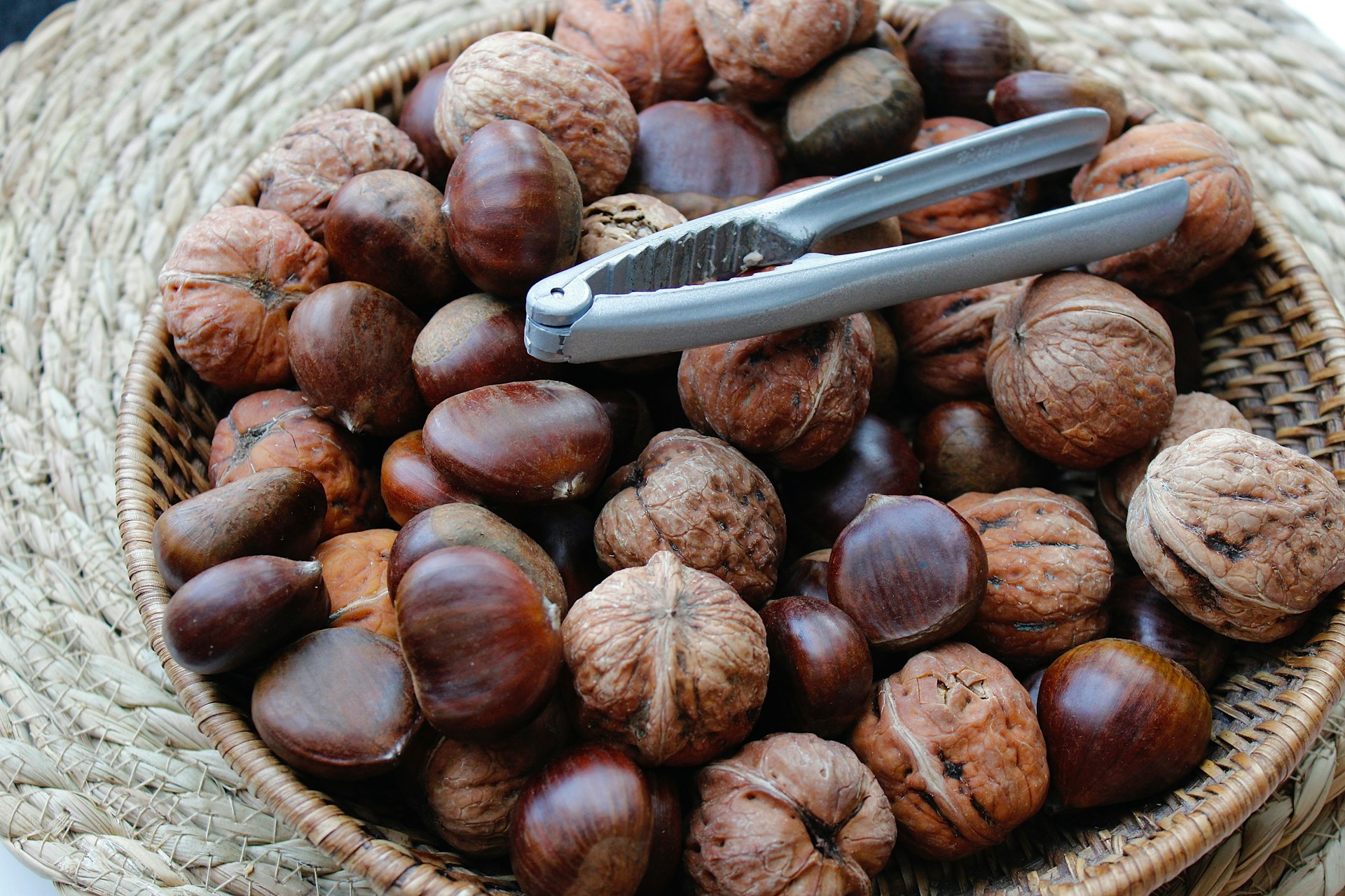 Come conservare le castagne raccolte