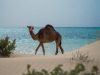 spiaggia-del-mar-rosso