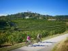 le-colline-del-vino-e-gli-itinerari-gourmet