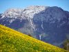 panorami-sulle-alpi