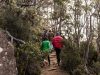 trekking-nella-wilderness-di-mount-wellington