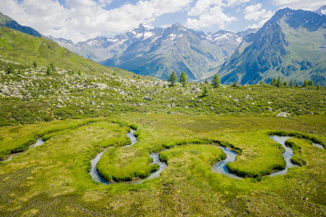 Dove fare il bagno nella foresta come esperienza di benessere nella natura