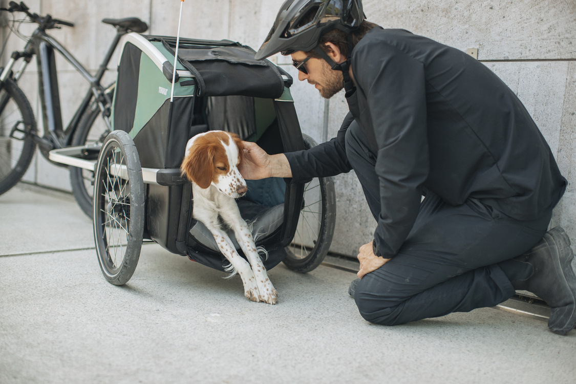 In bici col cane: Thule Bexey, l’innovativo rimorchio da bici per cani