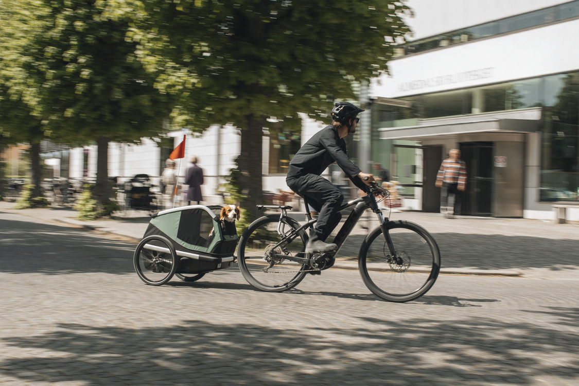 In bici col cane: Thule Bexey, l’innovativo rimorchio da bici per cani