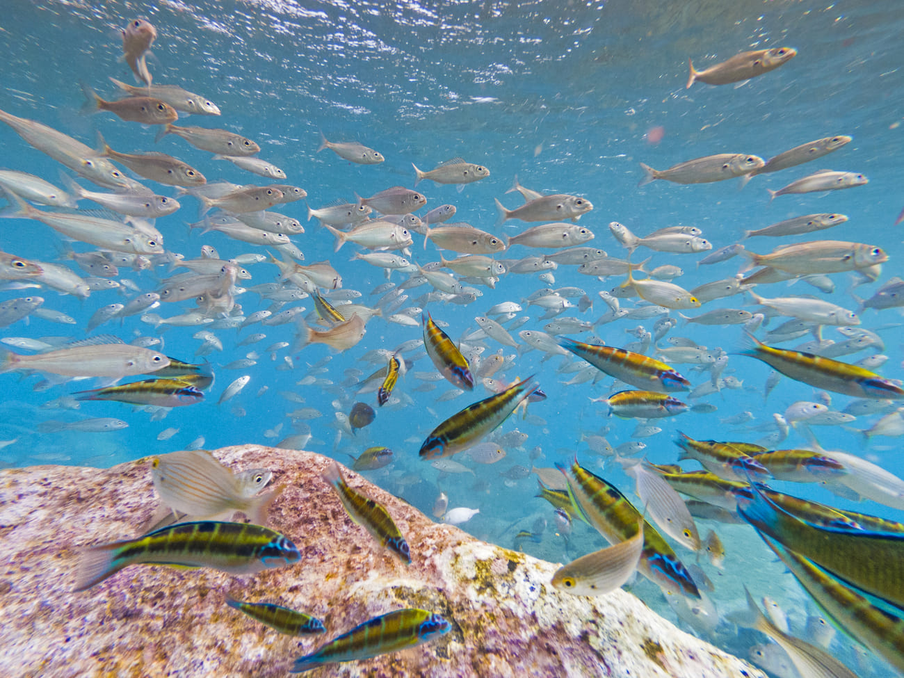 Le spiagge dello snorkeling alle Isole Canarie