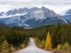 la-strada-che-attraversa-il-jasper-national-park