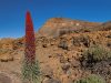 lambiente-desertico-del-parco-nazionale-del-teide-isole-canarie-spagna