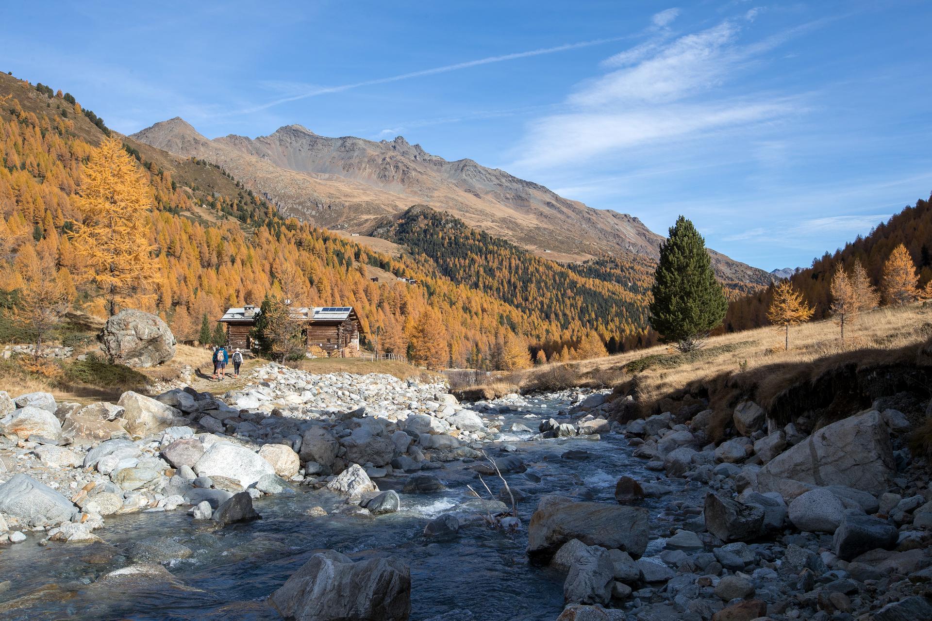 Foliage e cervi in amore: l'autunno a Bormio tutto da scoprire