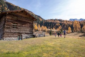 Foliage e cervi in amore: l'autunno a Bormio tutto da scoprire