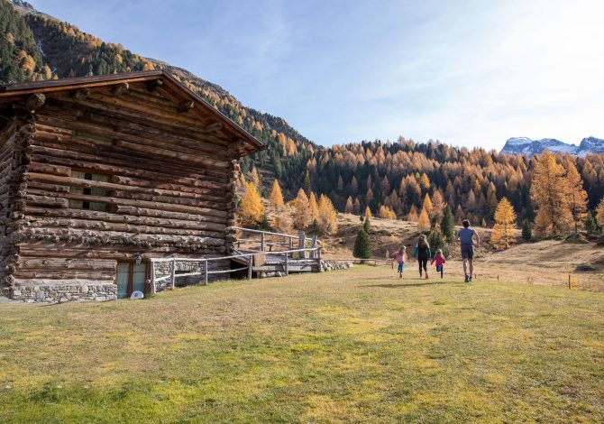 Foliage e cervi in amore: l'autunno a Bormio tutto da scoprire