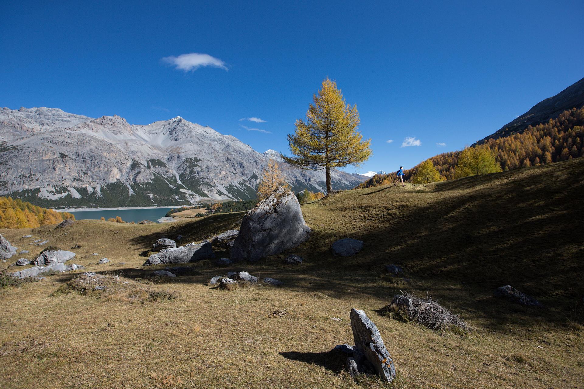 Foliage e cervi in amore: l'autunno a Bormio tutto da scoprire