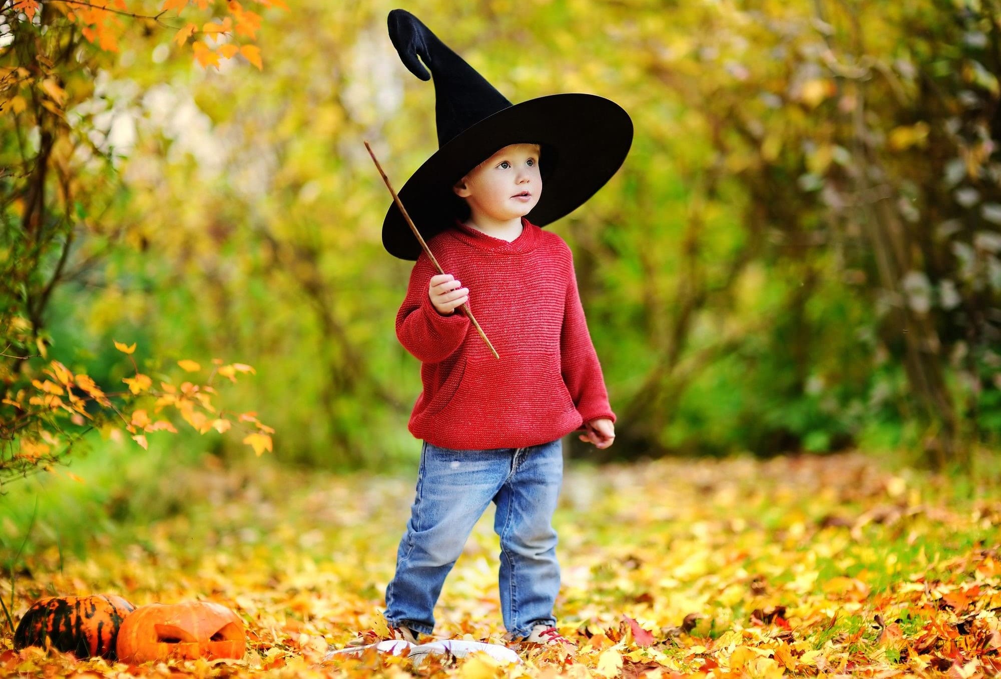 Halloween da brividi? Nei parchi avventura del distretto dei laghi