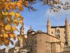 urbino