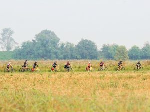 itinerari-bici-cremona