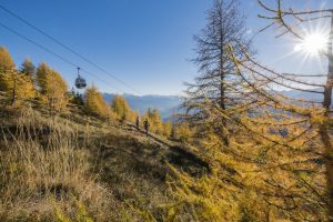 C'è un nuovo bellissimo sentiero tra Rio di Pusteria e la frazione di Valles