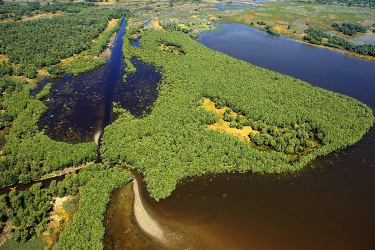 Il tuo prossimo viaggio in bici sarà nell'Amazzonia d'Europa