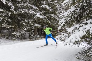 Dove fare sci di fondo in Valtellina questo inverno