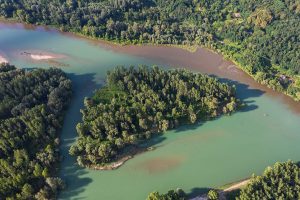 Il tuo prossimo viaggio in bici sarà nell'Amazzonia d'Europa