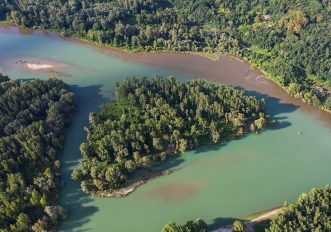 Il tuo prossimo viaggio in bici sarà nell'Amazzonia d'Europa