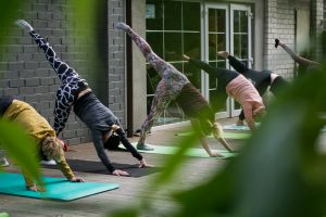 Quali tipi di Yoga per avere muscoli più forti, meno stress o una postura migliore?