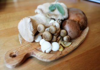 I funghi sono il prossimo superfood che devi scoprire