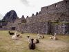 cittadella-di-machu-picchu