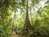 camminate-sul-sentiero-della-selva-id-tambopata