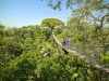 la-zipline-a-puerto-maldonado