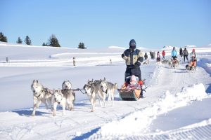 San Vigilio di Marebbe è dove puoi provare l'emozione di andare con slitte trainate da huskies o cavalli