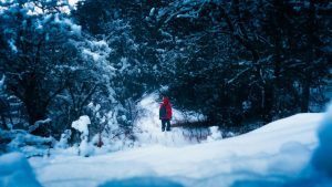 Le mete per San Valentino più affollate e care (e quelle più intime e accessibili)