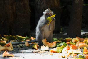 Se vuoi smettere di sprecare il cibo puoi fare queste piccole e semplici cose