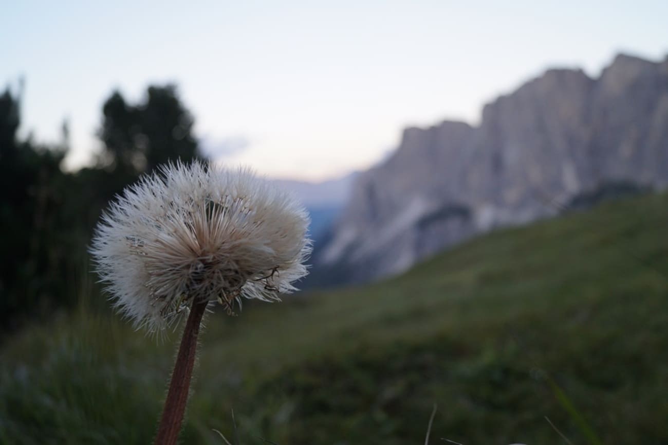 Qui è dove la montagna di Primavera apre prima di tutti