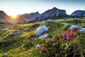 Qui è dove la montagna di Primavera apre prima di tutti