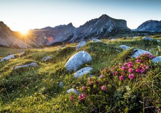 Qui è dove la montagna di Primavera apre prima di tutti