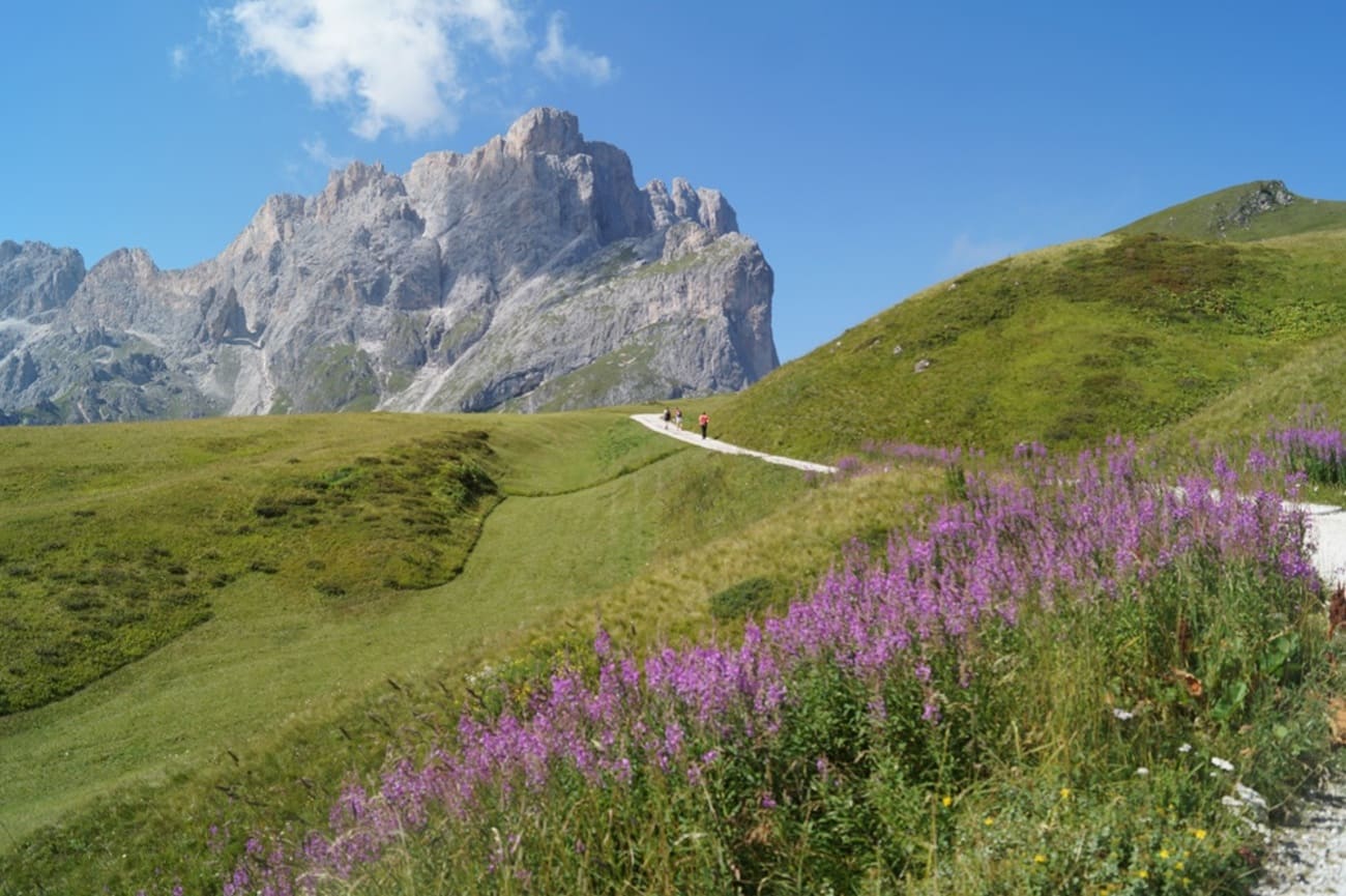 Qui è dove la montagna di Primavera apre prima di tutti